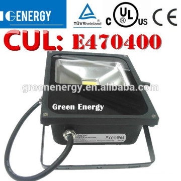 Government order high quality 50W IP65 floodlight led lighting lamp